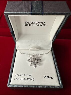 Diamond Brilliance 1/10 CT TW Lab Diamond Sterling Silver Snowflake Necklace